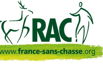 La France est plombée, bis repetita (non) placent