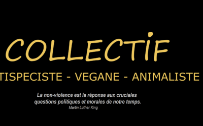 Présentation du Collectif Antispéciste Végane et Animaliste