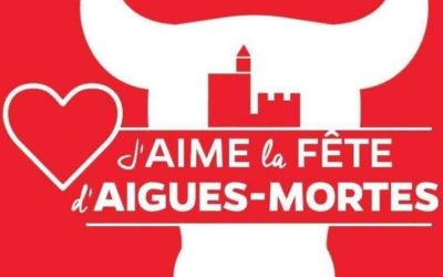 Une femme décède après avoir été percutée par un taureau lors d’une fête