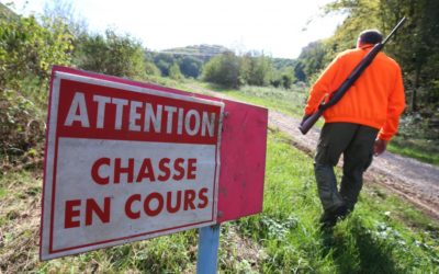 Chasse, alcool et braconnage