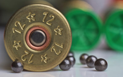 Un nouveau biocide de chasse devant la Justice