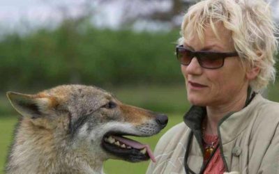 La condamnation de l’éleveuse de chiens-loups en France est maintenant définitive