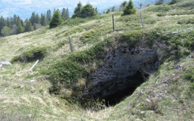Un charnier animal découvert au gouffre de la Lésine de la Calame