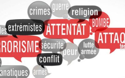 Ourses dans le Béarn : première battue d’effarouchement
