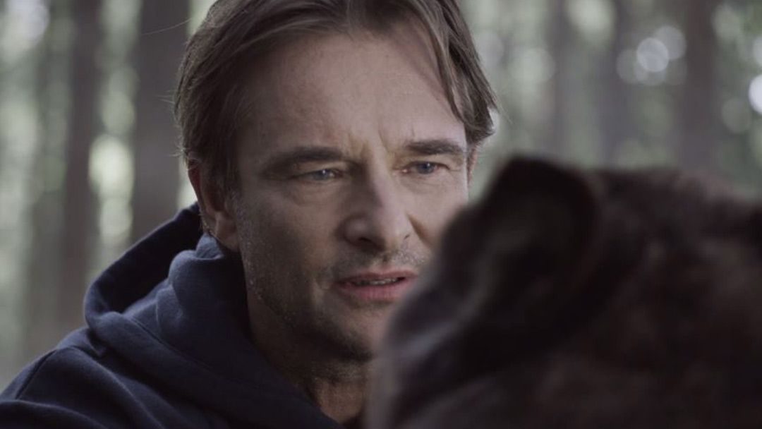 David Hallyday : «Ce loup aux yeux bleus, c’est mon père»