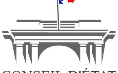 Le Conseil d’État ordonne l’arrêt de la chasse aux oies sauvages