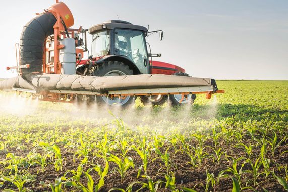 Des pesticides et de la responsabilité des lobbies empoisonneurs