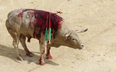 40 çonnards signent une tribune pour la torture !