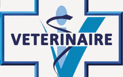 L’Ordre des Vétérinaires réaffirme ses recommandations pour la prise en charge de la santé des animaux