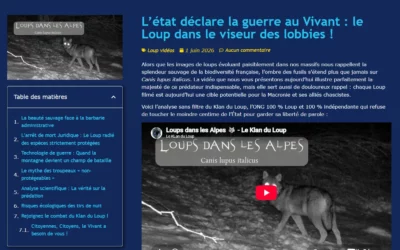 Loups dans les Alpes